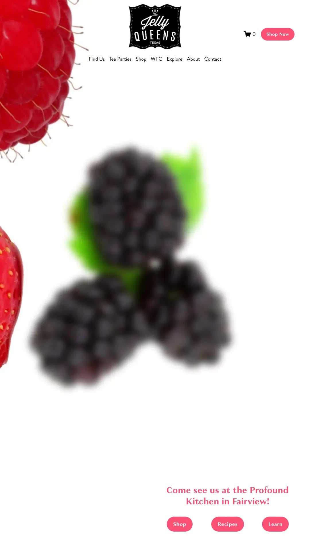 Screenshot: the The Jelly Queens website.