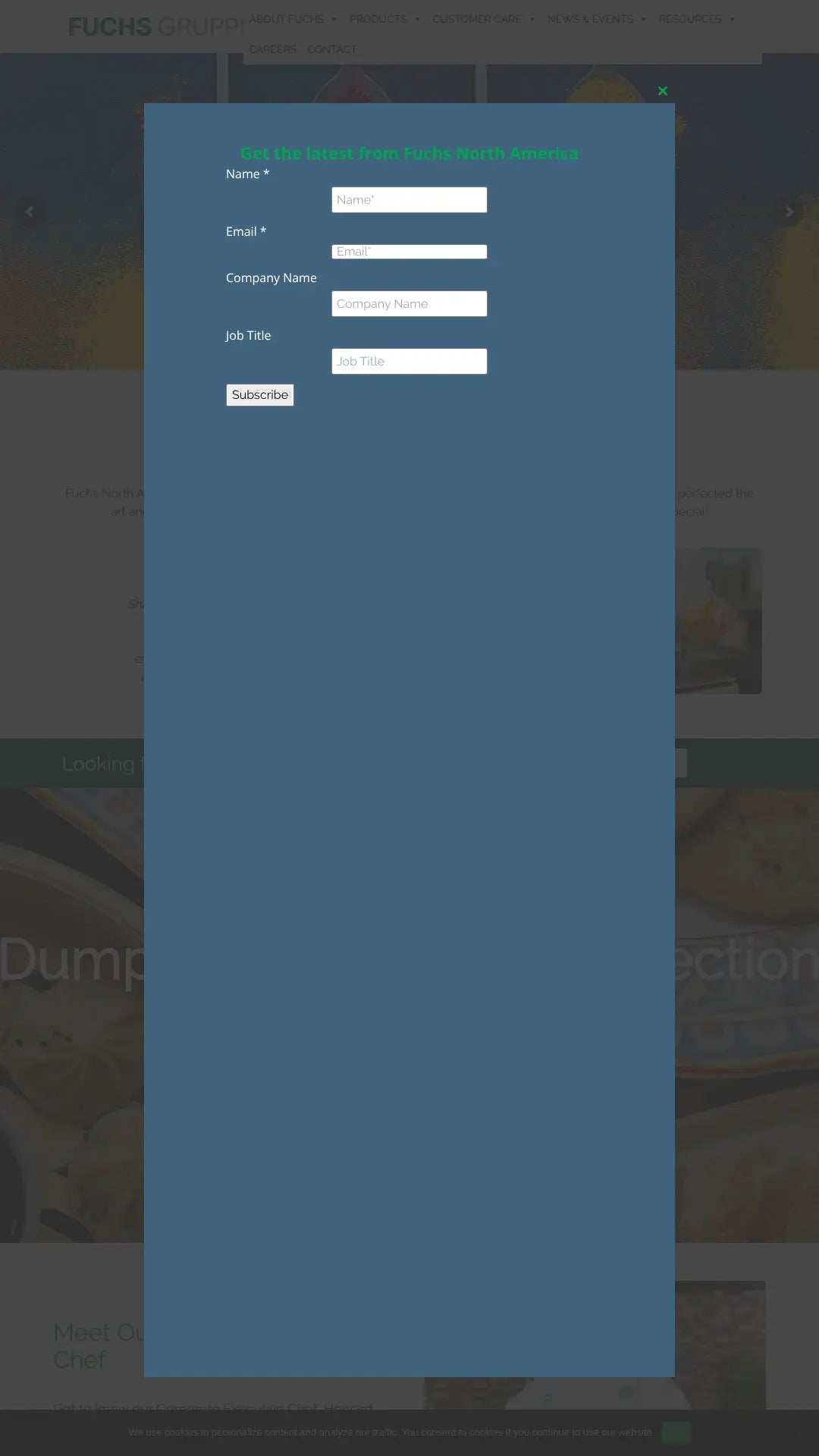 Screenshot: the Fuchs North America website.