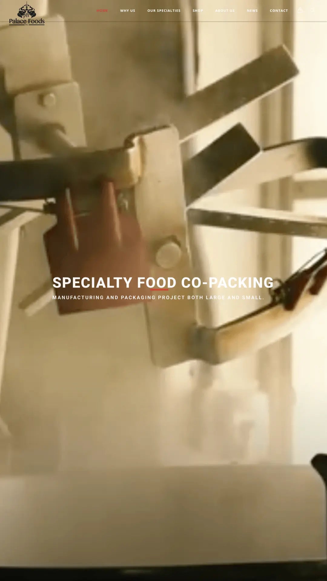 Screenshot: the Palace Foods, Inc. website.