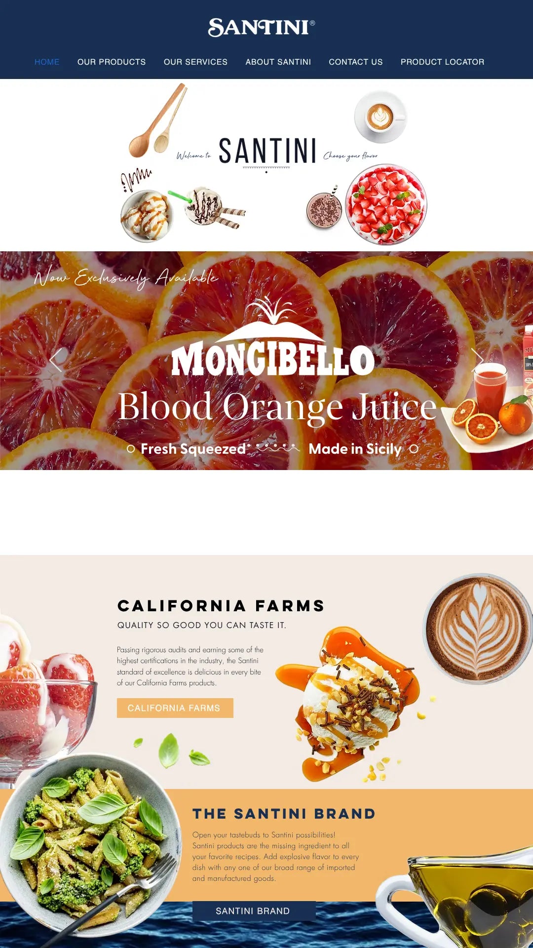 Screenshot: the Santini Foods website.