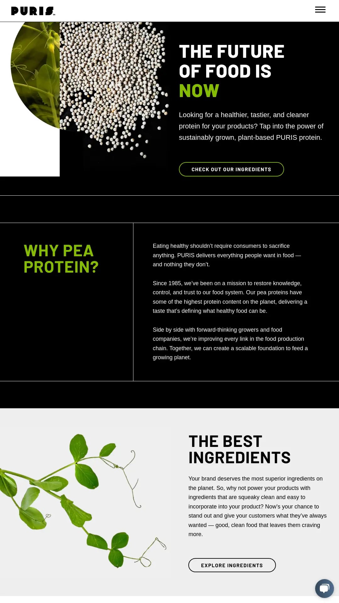 Screenshot: the PURIS website.