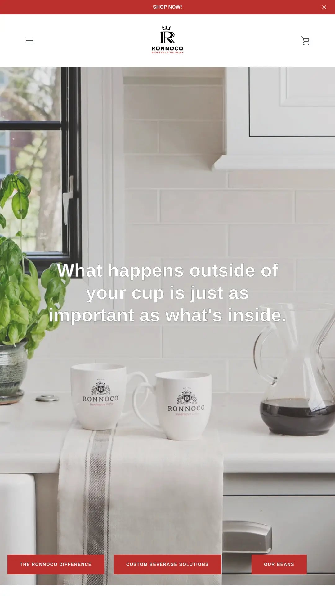 Screenshot: the Ronnoco Coffee website.