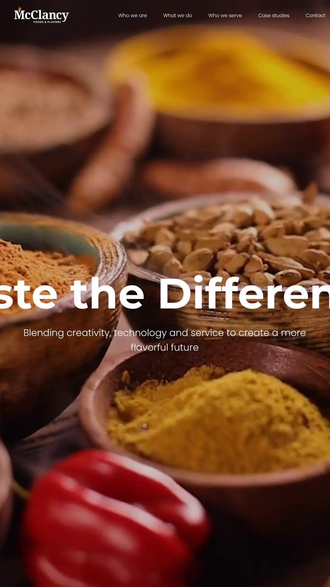 Screenshot: the McClancy Seasoning Company website.