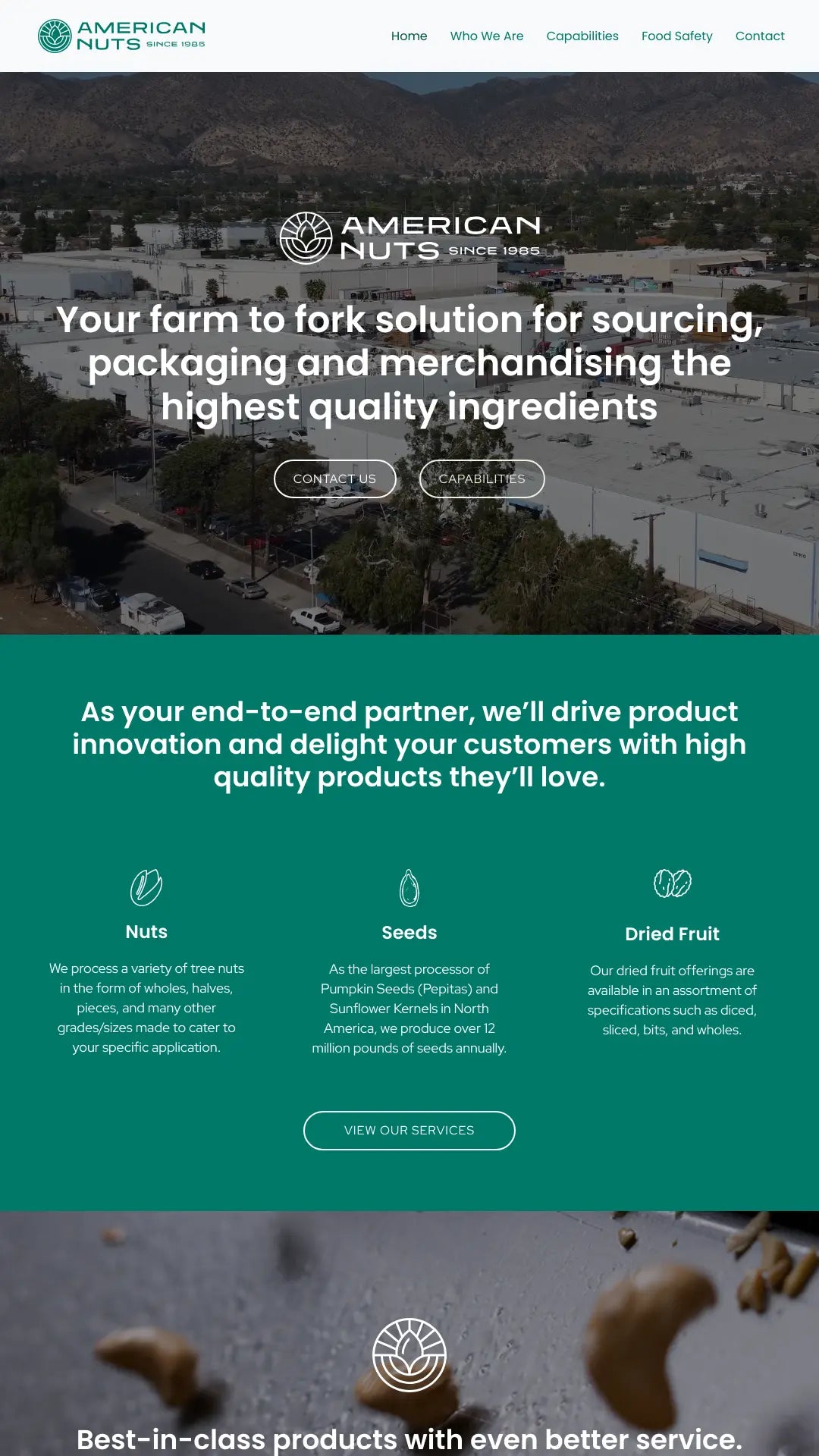 Screenshot: the American Nuts website.