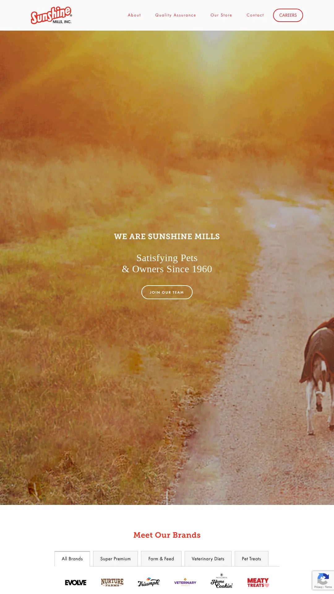 Screenshot: the Sunshine Mills website.
