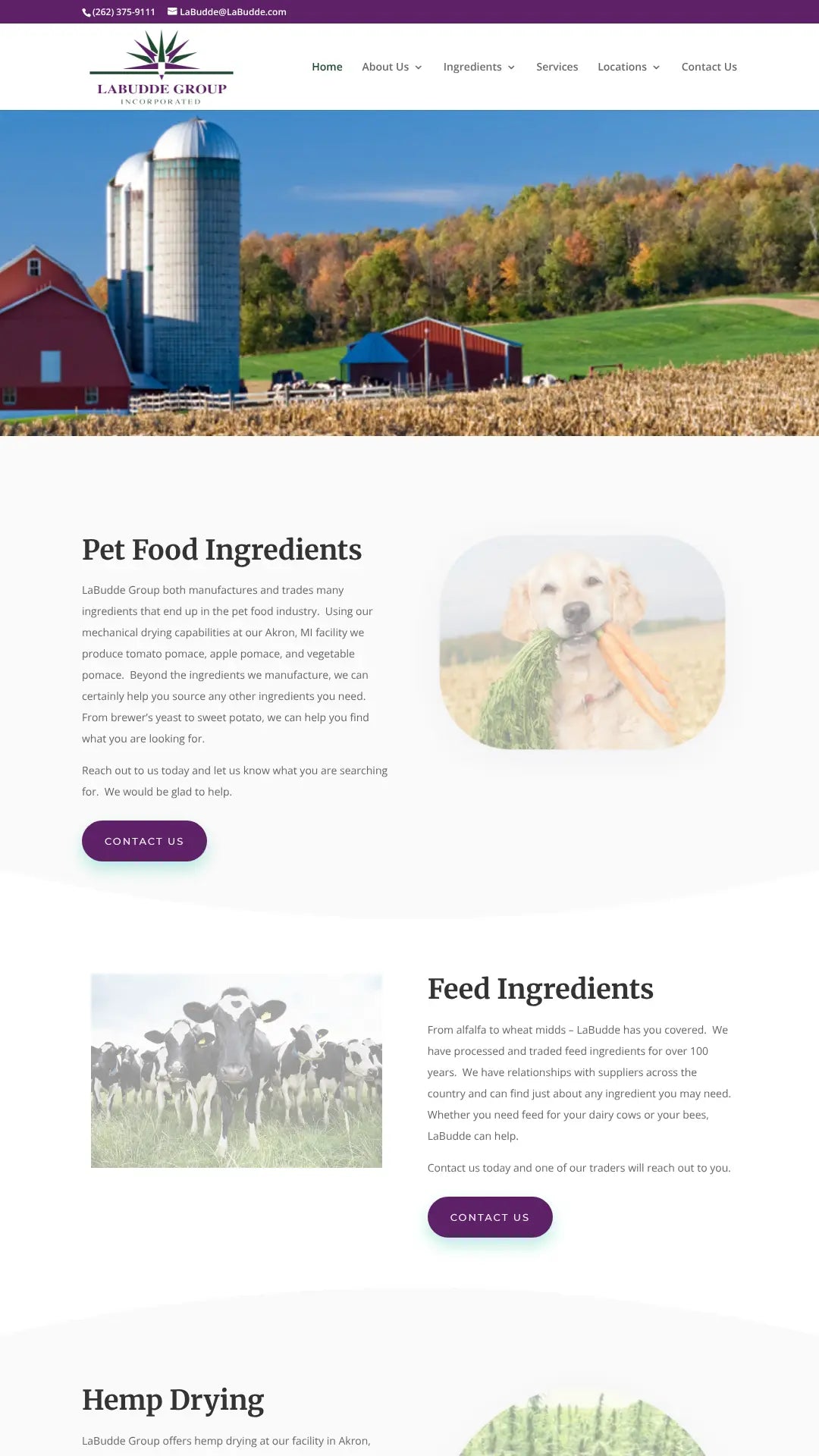 Screenshot: the LaBudde Group website.