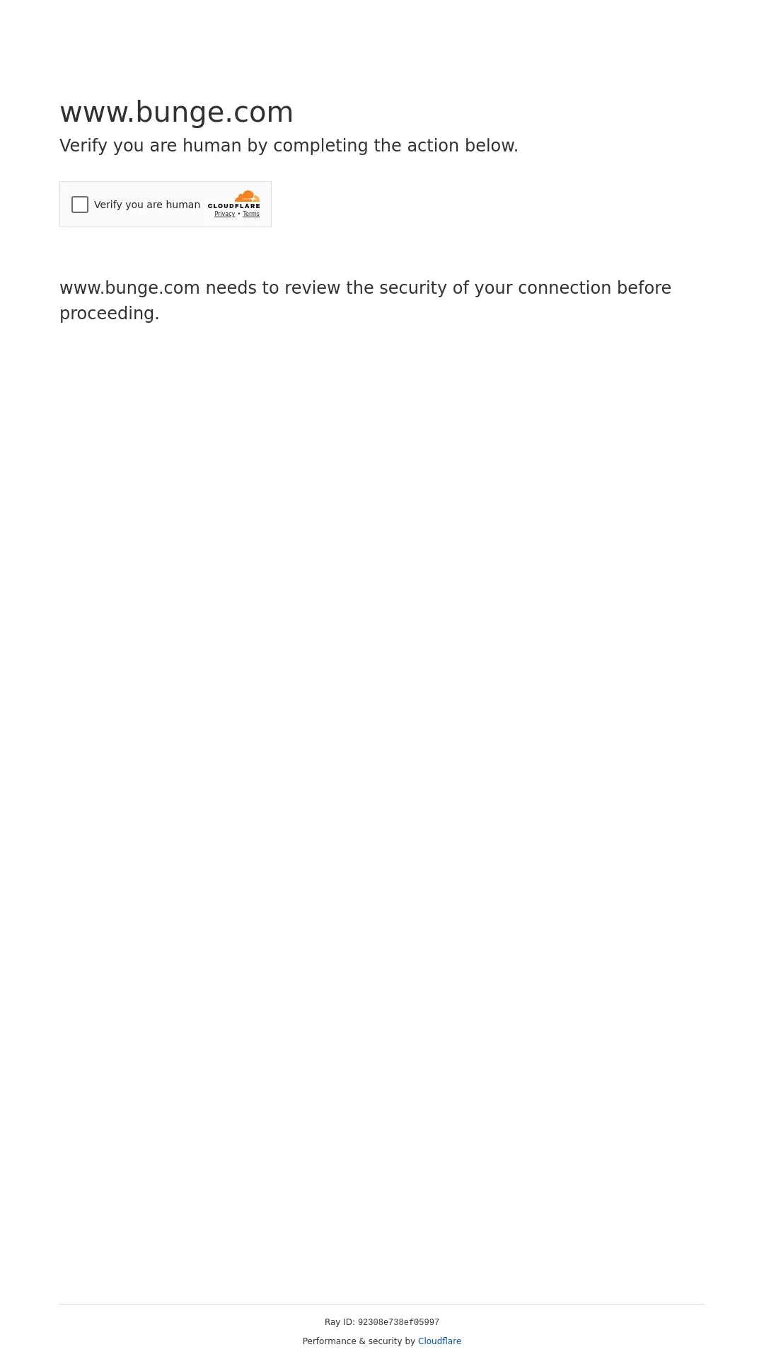 Screenshot: the Bunge website.