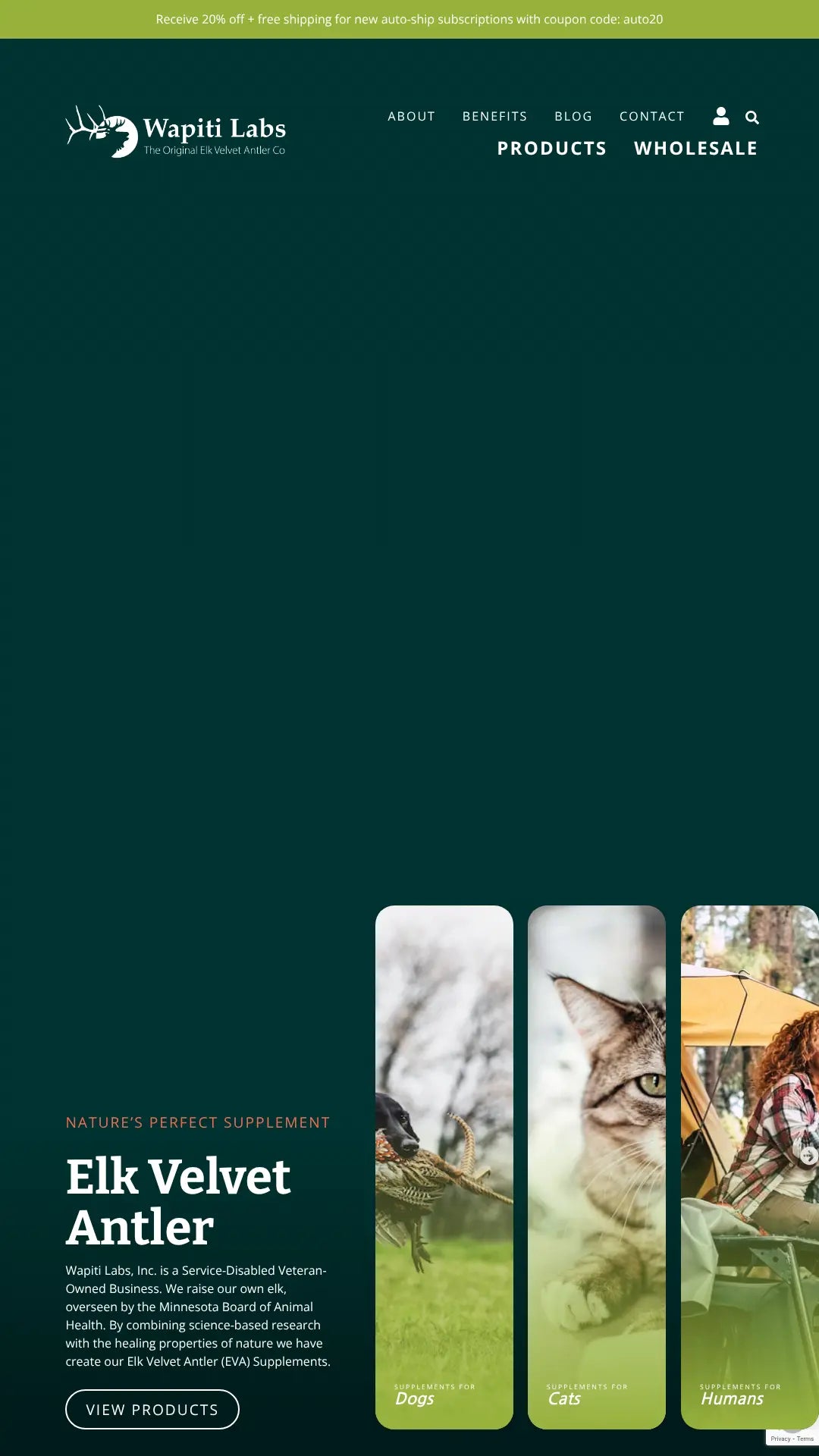 Screenshot: the Wapiti Labs Inc. website.