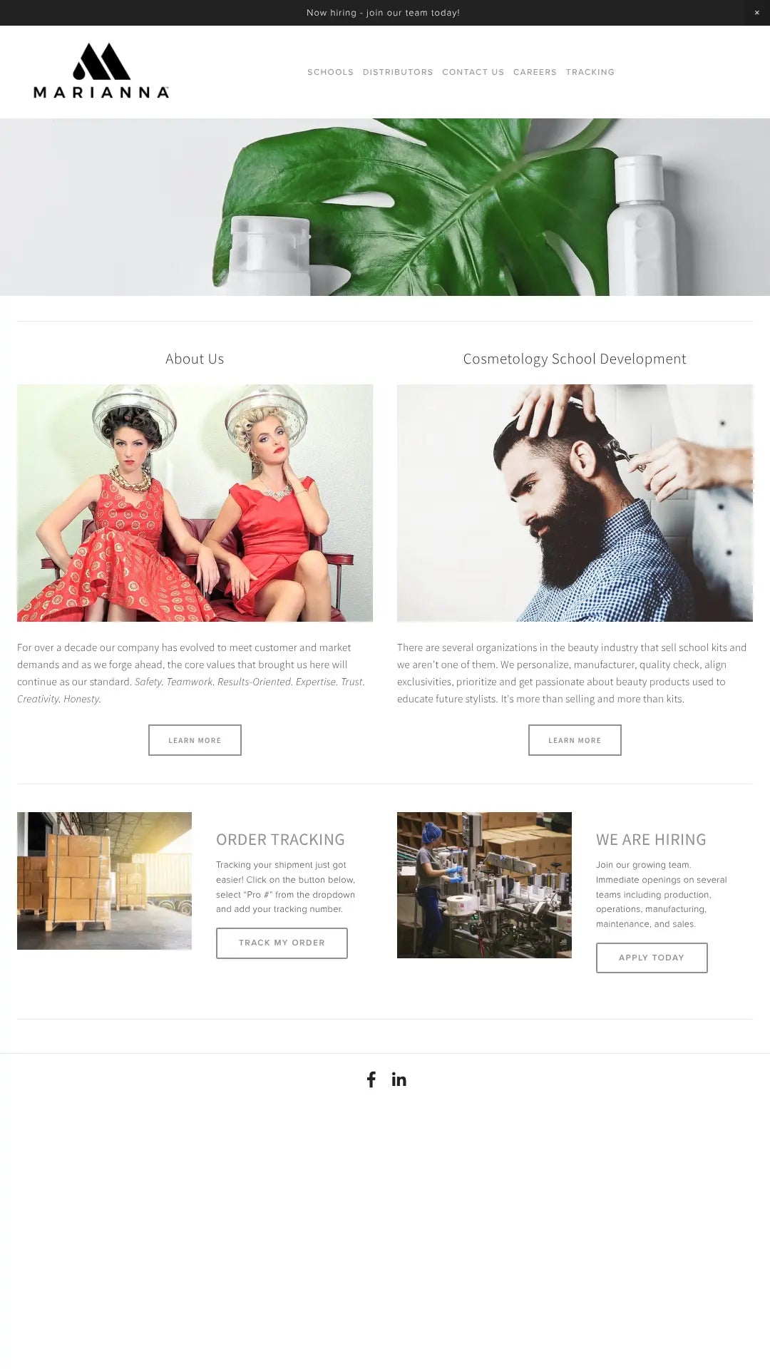 Screenshot: the Marianna Industries website.