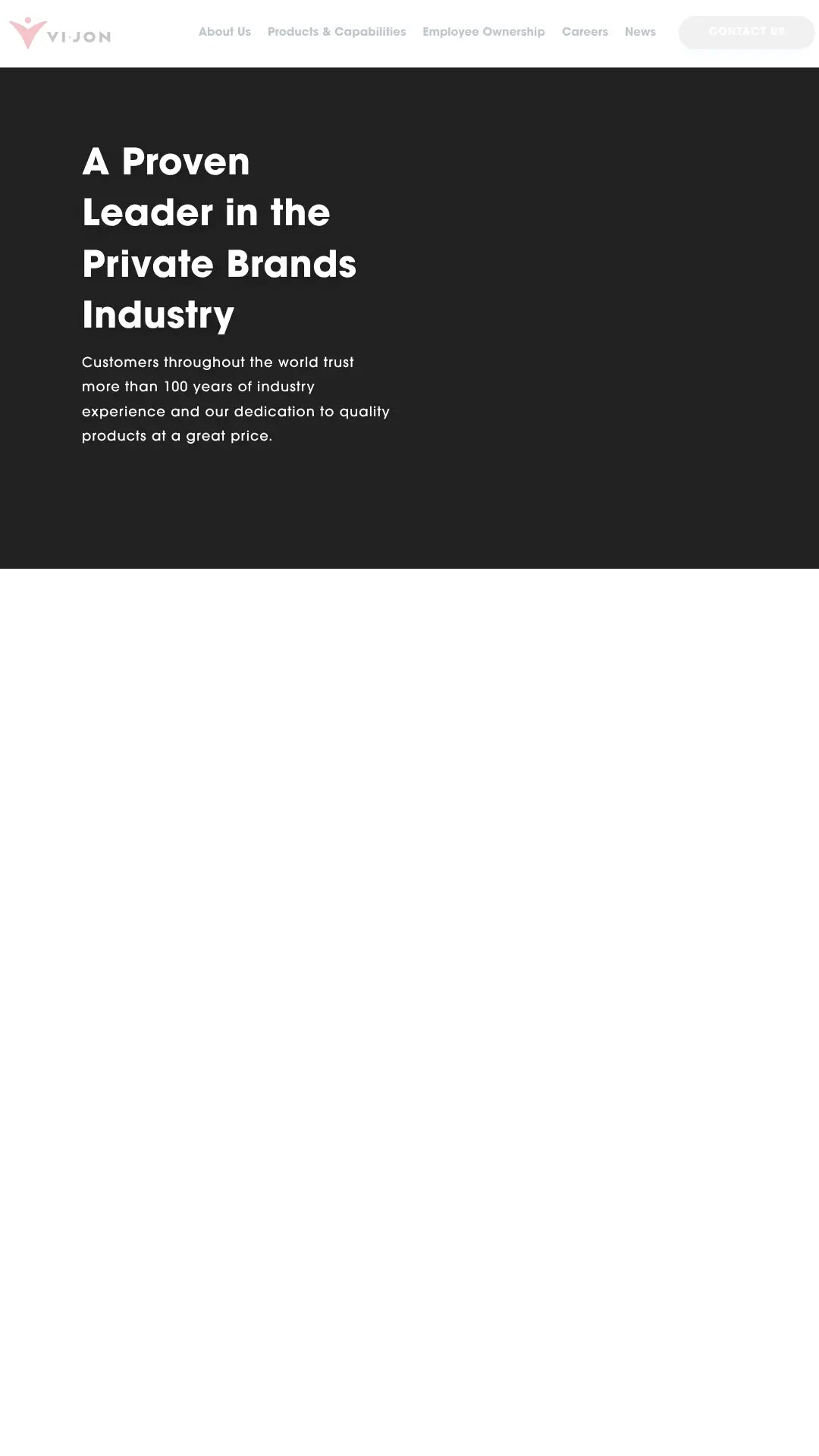 Screenshot: the Vijon website.