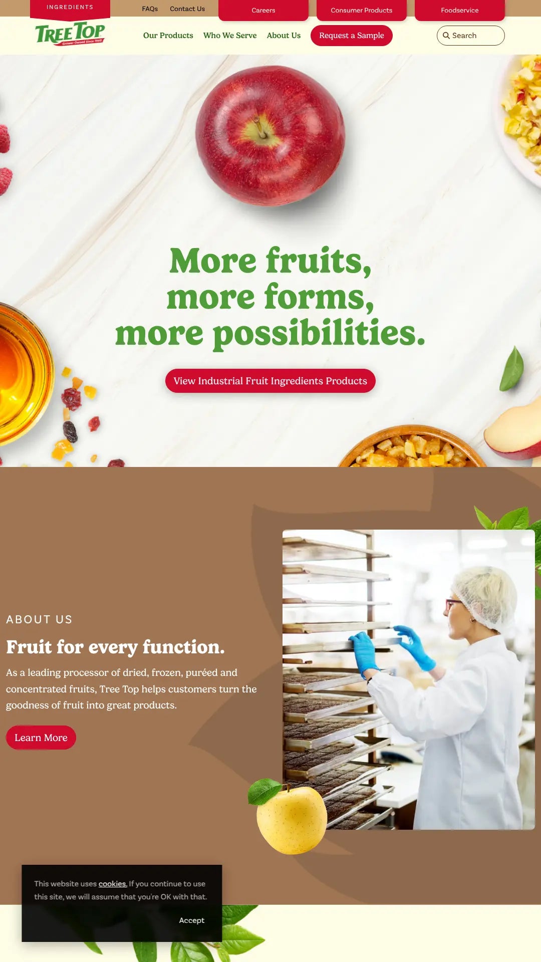Screenshot: the TreeTop Food Ingredients website.
