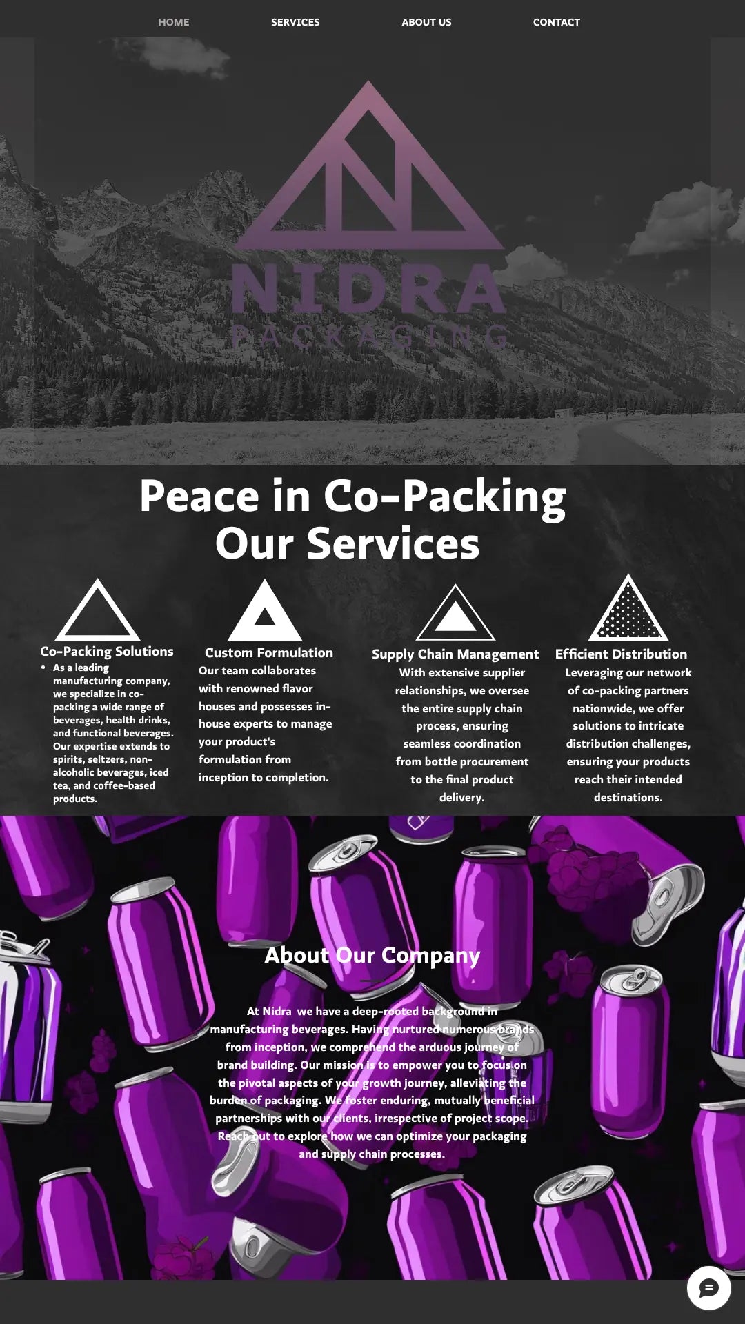 Screenshot: the NidraPack website.