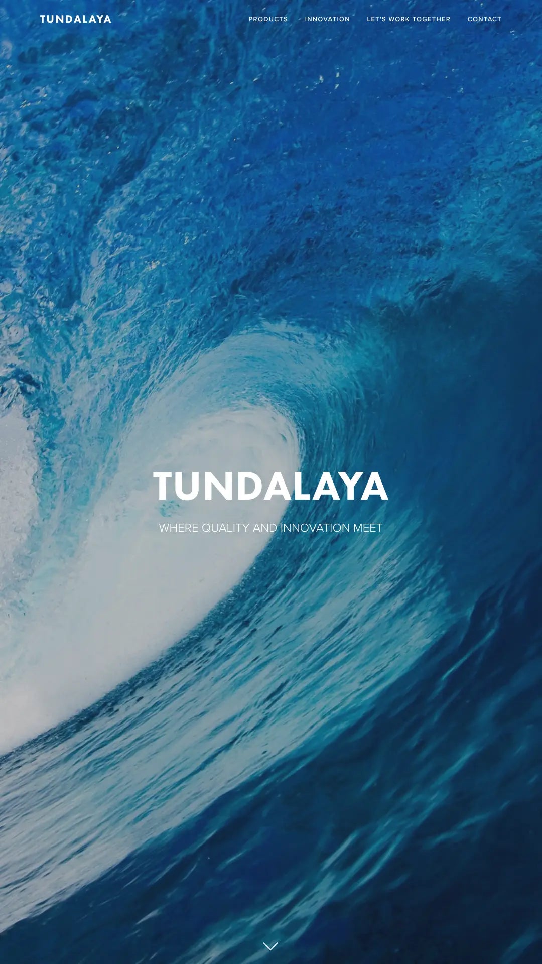 Screenshot: the Tundalaya website.