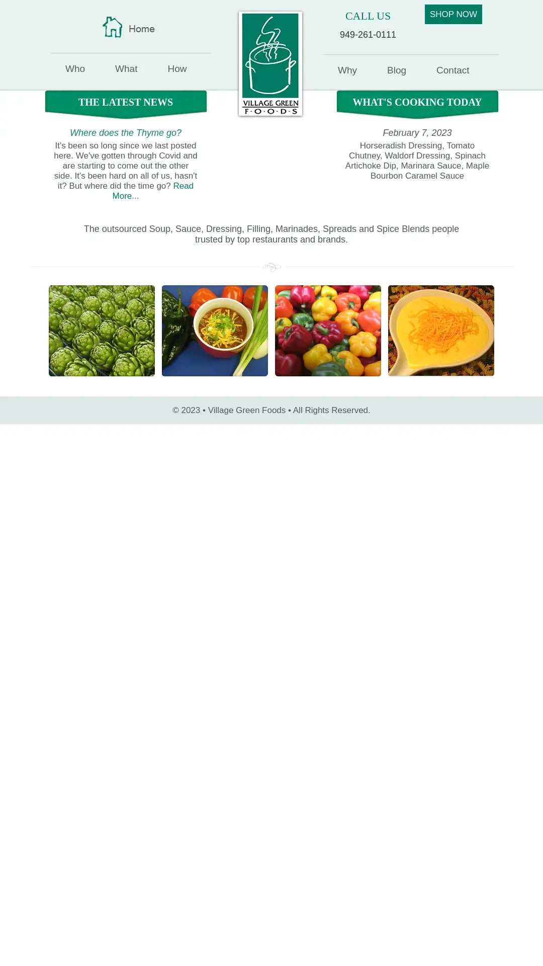Screenshot: the Village Green Foods Inc. website.