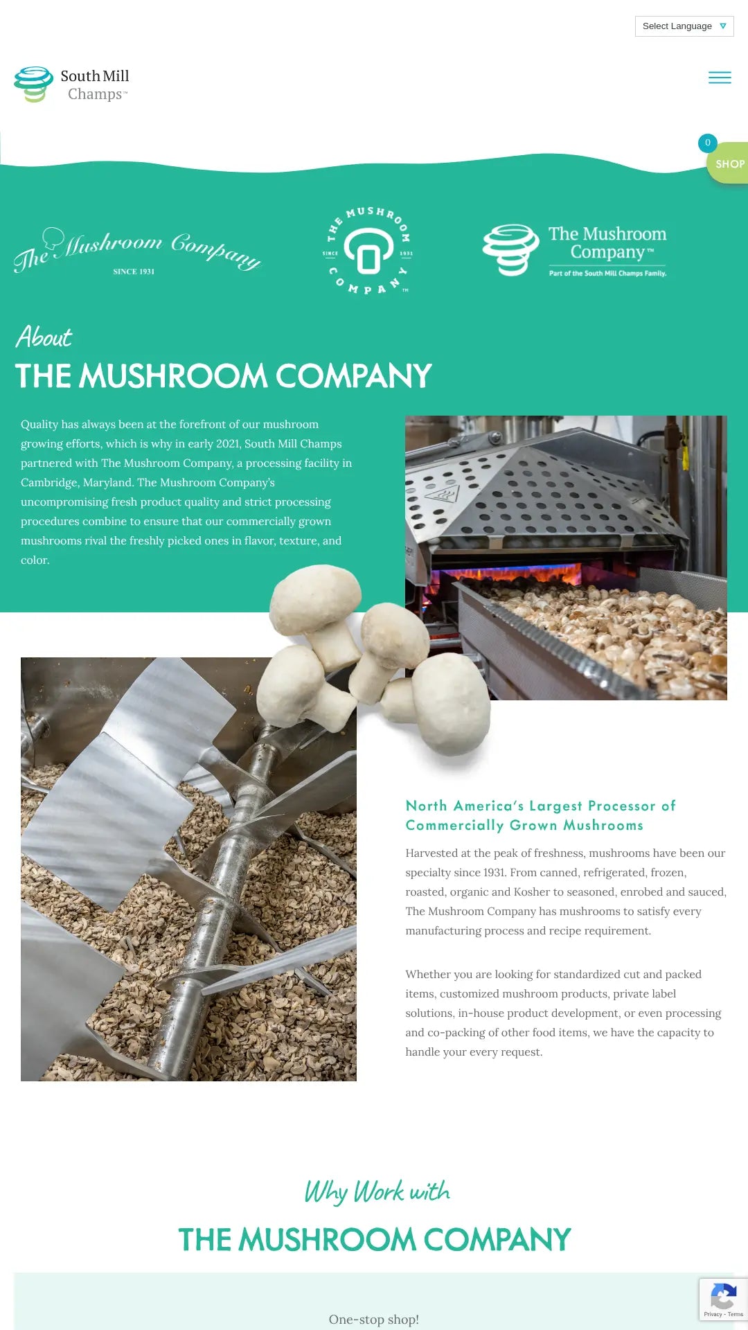 Screenshot: the The Mushroom Company website.