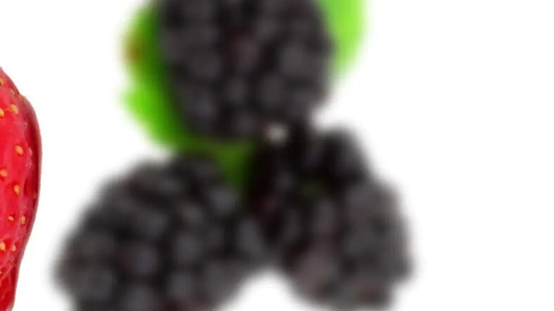 Screenshot: the The Jelly Queens website.