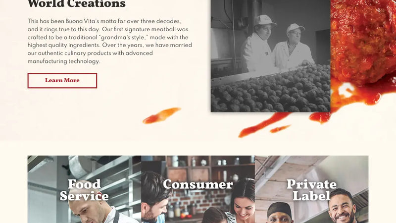 Screenshot: the Buona Vita Inc. website.