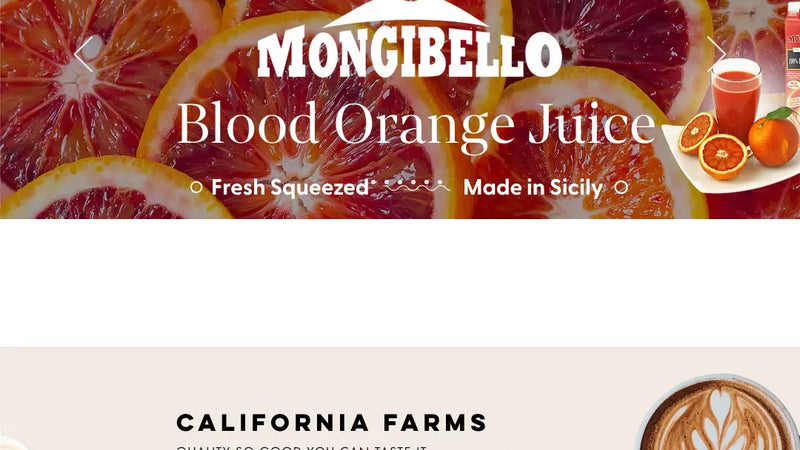 Screenshot: the Santini Foods website.