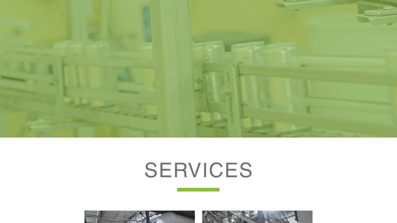 Screenshot: the Healthverve Food Manufacturing U.S.A. website.