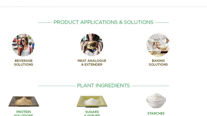 Screenshot: the Axiom Foods website.