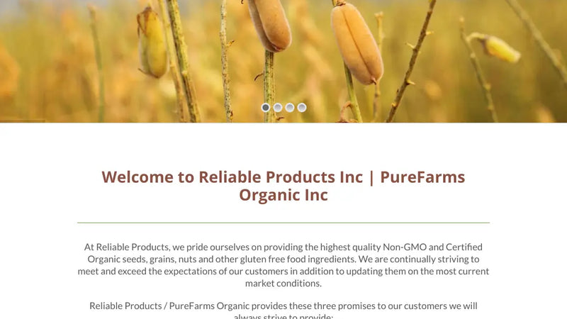 Screenshot: the Reliable Products website.