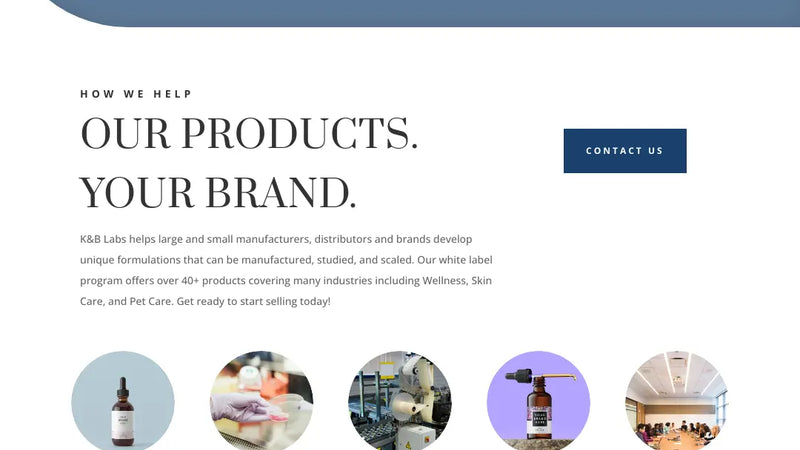 Screenshot: the KB Labs website.