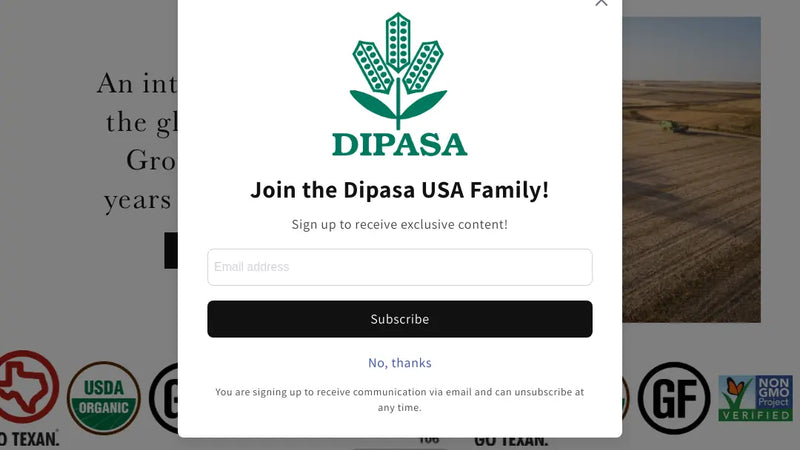 Screenshot: the Dipasa USA Inc. website.