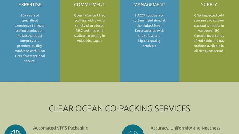 Screenshot: the Clear Ocean website.