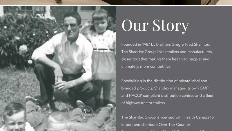 Screenshot: the Shandex website.