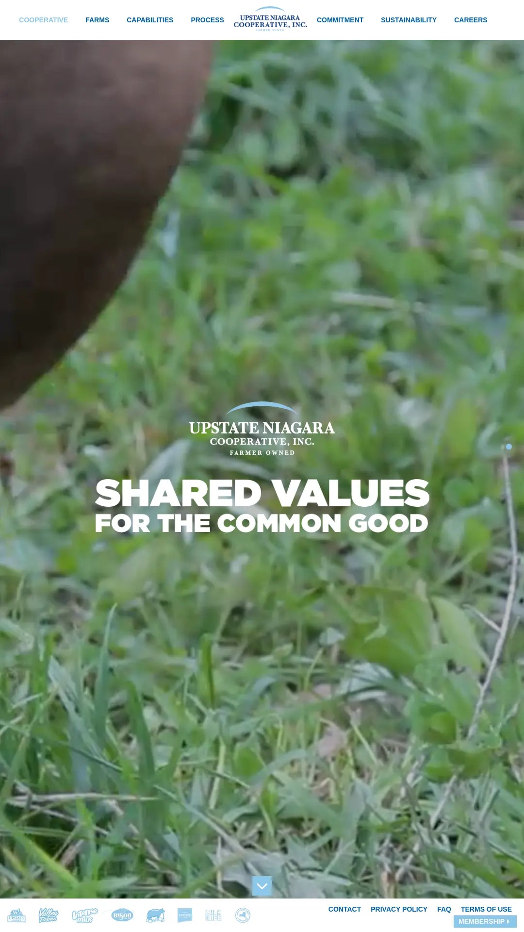 Screenshot: the Upstate Niagara Cooperative, Inc. website.