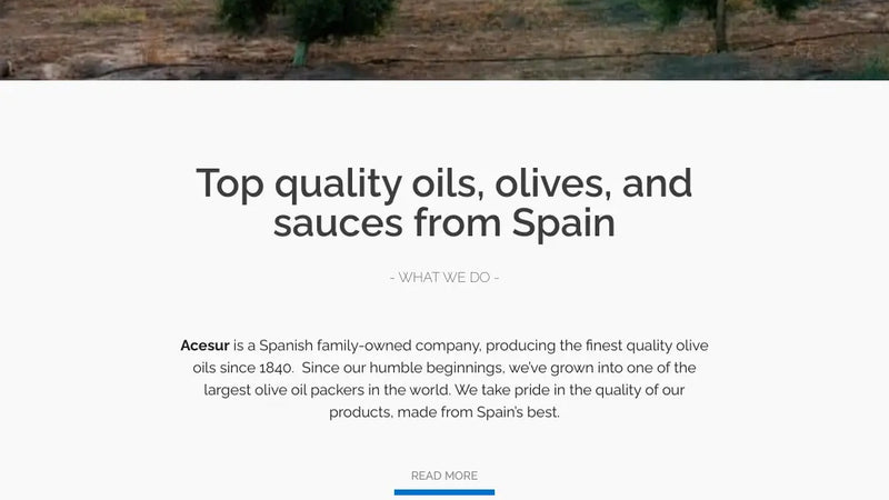 Screenshot: the Acesur North America website.