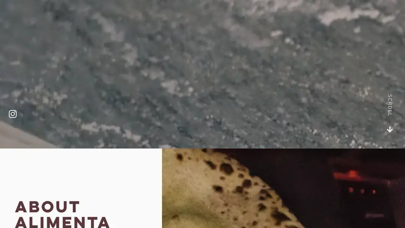 Screenshot: the Alimenta USA Corp. website.
