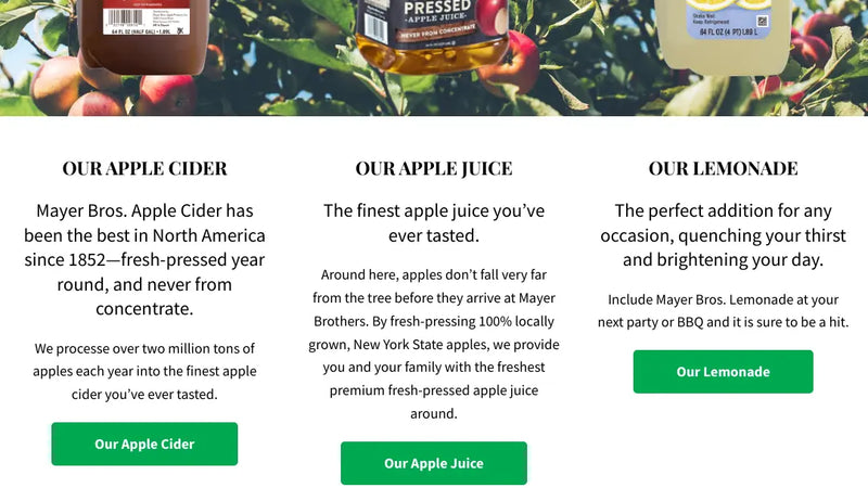 Screenshot: the Mayer Brothers website.