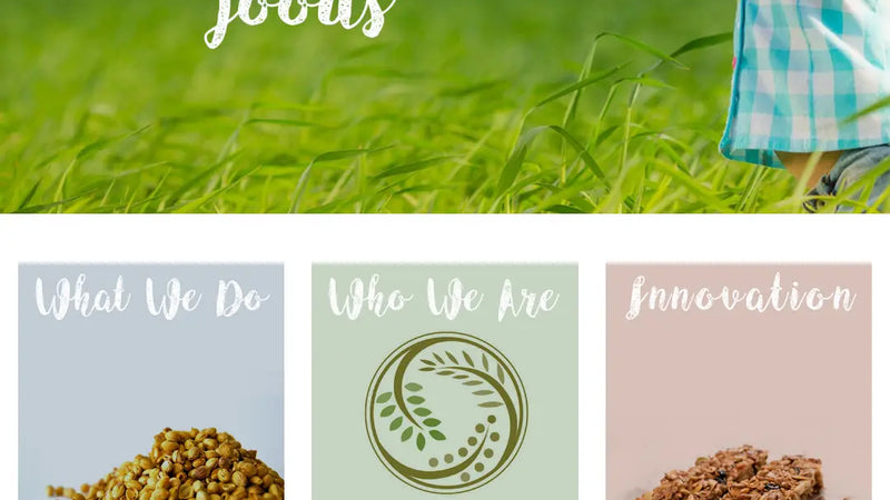 Screenshot: the Pure Nature Foods website.