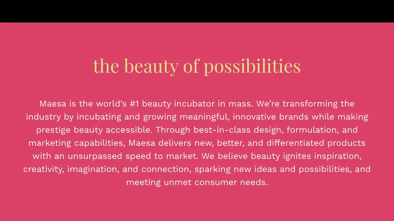 Screenshot: the Maesa website.