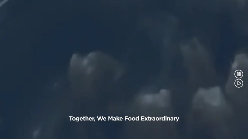 Screenshot: the Ventura Foods website.