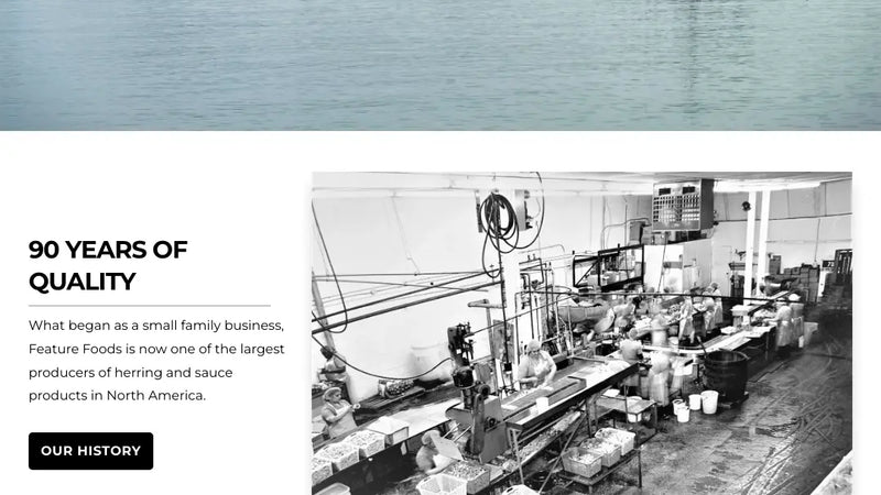 Screenshot: the Feature Foods International website.