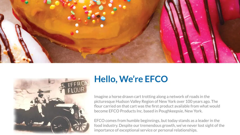 Screenshot: the Efco Products, Inc. website.