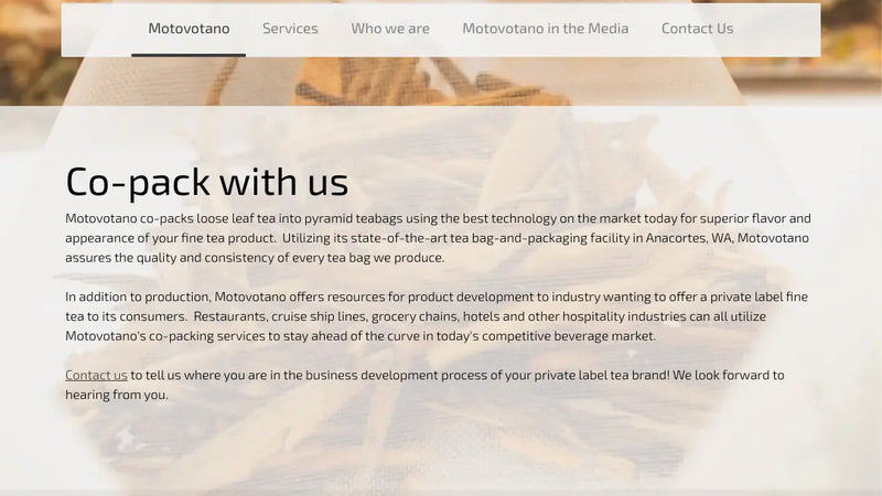 Screenshot: the Motovotano website.