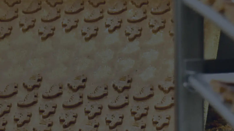 Screenshot: the Snackwerks website.