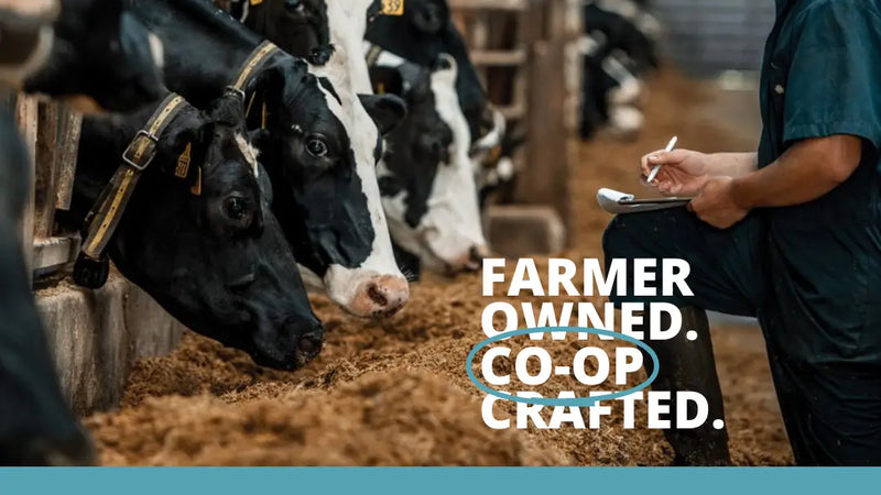 Screenshot: the Associated Milk Producers Inc website.