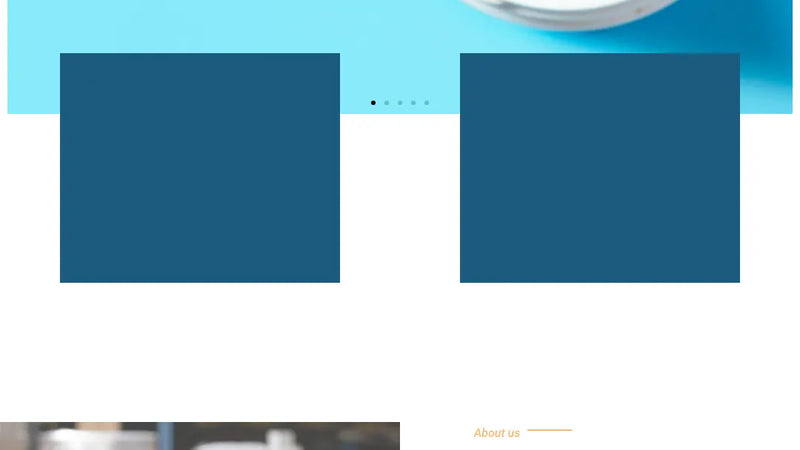 Screenshot: the TVS (Transylvania Vocational Services) website.