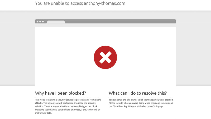 Screenshot: the Anthony Thomas Candy Co website.