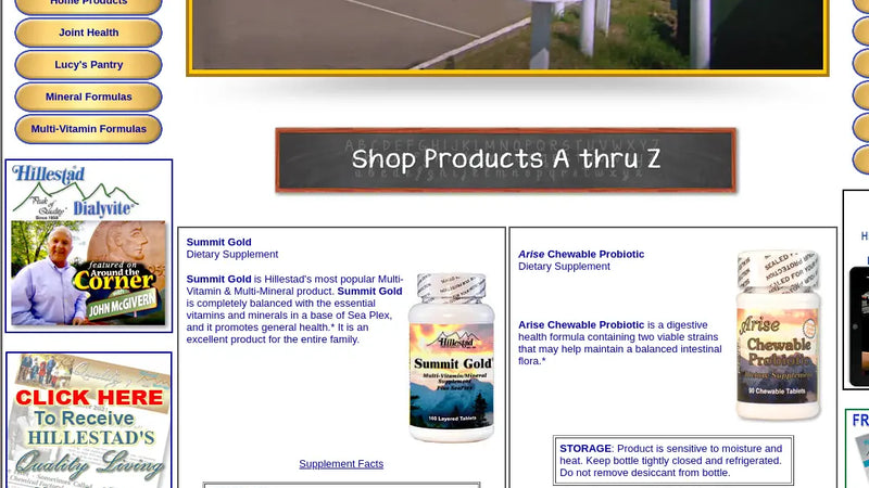 Screenshot: the Hillestad Labs website.