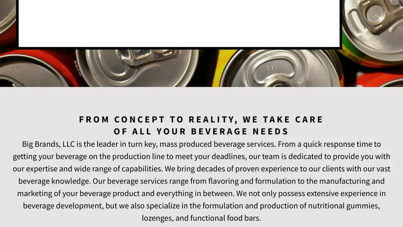 Screenshot: the Big Brands LLC website.