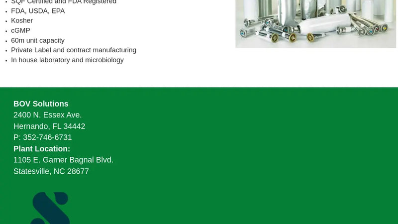 Screenshot: the BOV Solutions website.