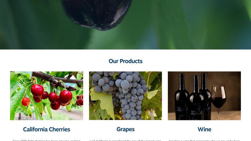 Screenshot: the Delta Packing Co website.