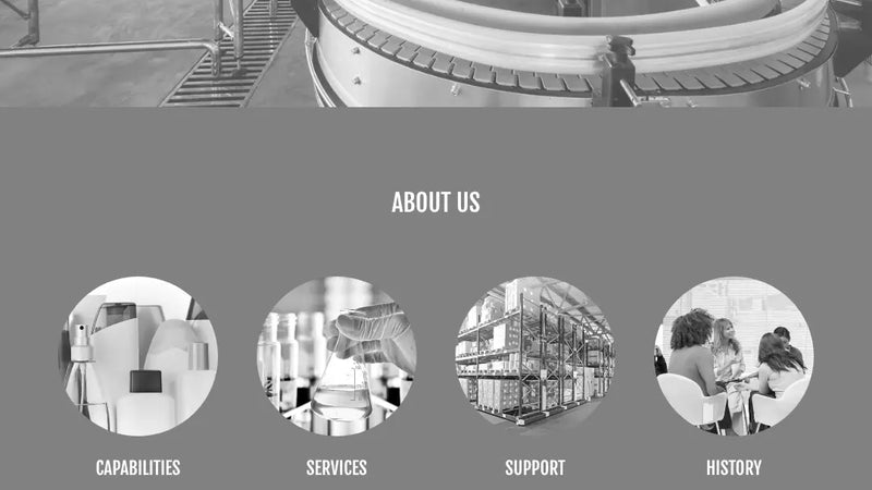 Screenshot: the Surefil website.