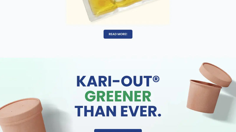 Screenshot: the Kari-Out LLC website.