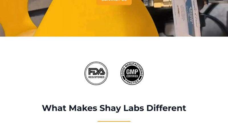 Screenshot: the Shay Labs website.